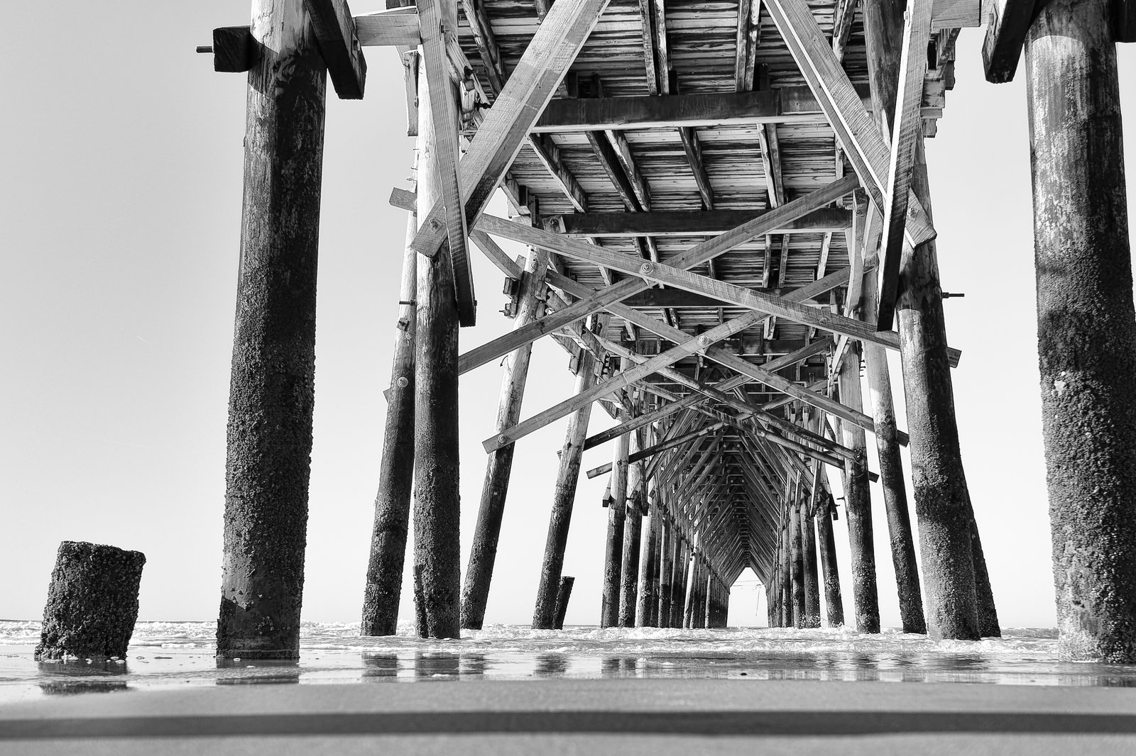 Beneath the Ocean Crest Pier, the strong, weathered pilings rise like the beams of a quiet cathedral, framing a pathway of light that stretches toward the horizon. Standing here, the rhythm of the waves and the scent of salt feel like an echo of my grandfather’s joy, a reminder that this was his happy place—whether the fish were biting or not, the peace of Oak Island was always enough.