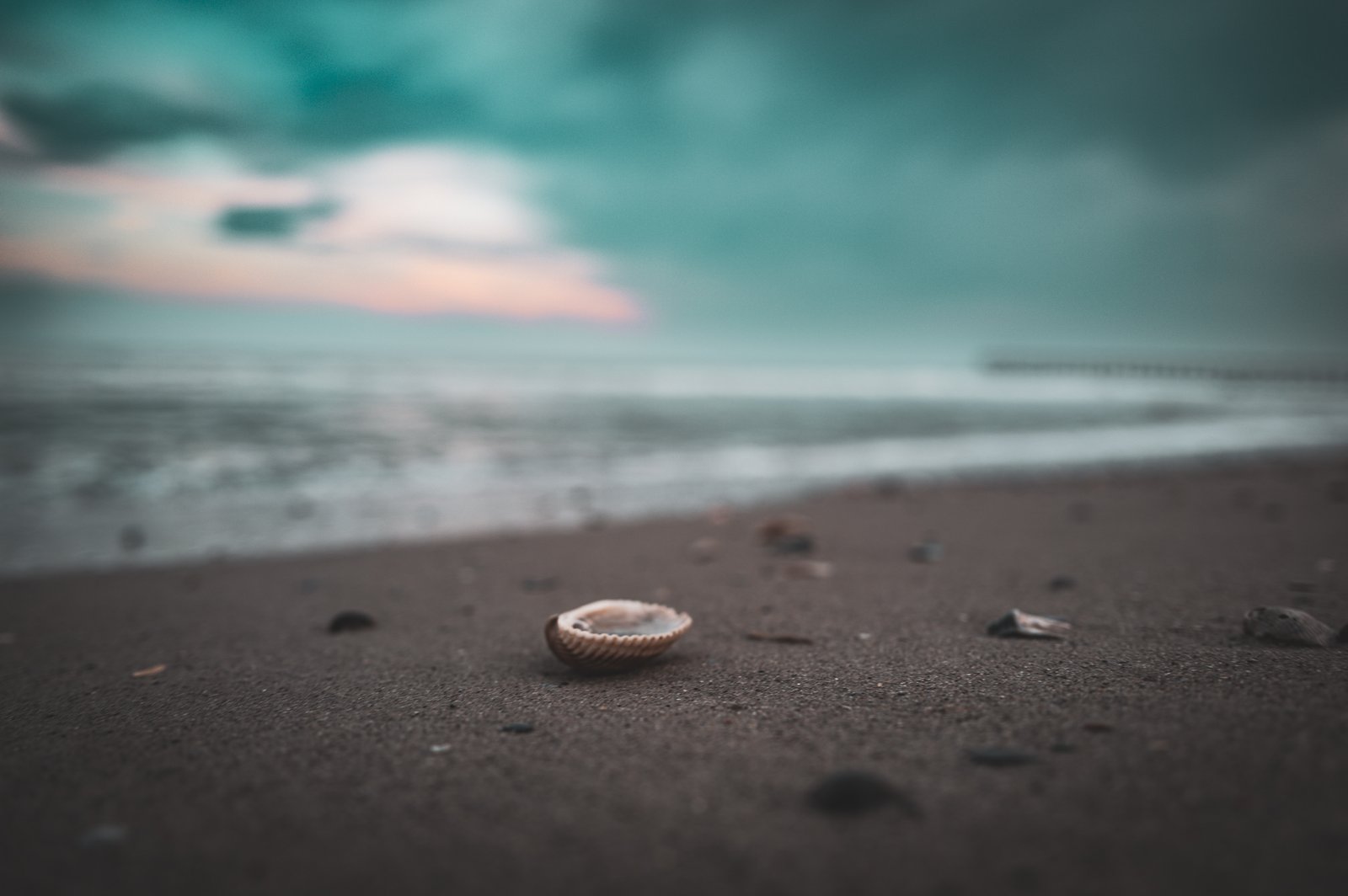 A solitary shell rests on the wet sand of Oak Island as gentle waves blur into a dreamlike backdrop . This macro photograph celebrates the intimate treasures revealed during low tide—those quiet moments when the Atlantic retreats and leaves behind nature’s delicate gifts . Shot with shallow depth of field, the composition draws the eye to the ribbed texture and graceful curve of the shell while soft turquoise and coral tones paint the bokeh background.
Oak Island’s beaches are renowned among shell collectors, particularly at the Point and along the western shores where currents deposit countless treasures . This image captures not just a shell, but a moment of discovery—the kind that makes beachcombers rise before dawn and wade into shallow waters searching for nature’s souvenirs. The moody sky and softened waves suggest the ephemeral nature of these finds, here one tide and gone the next.