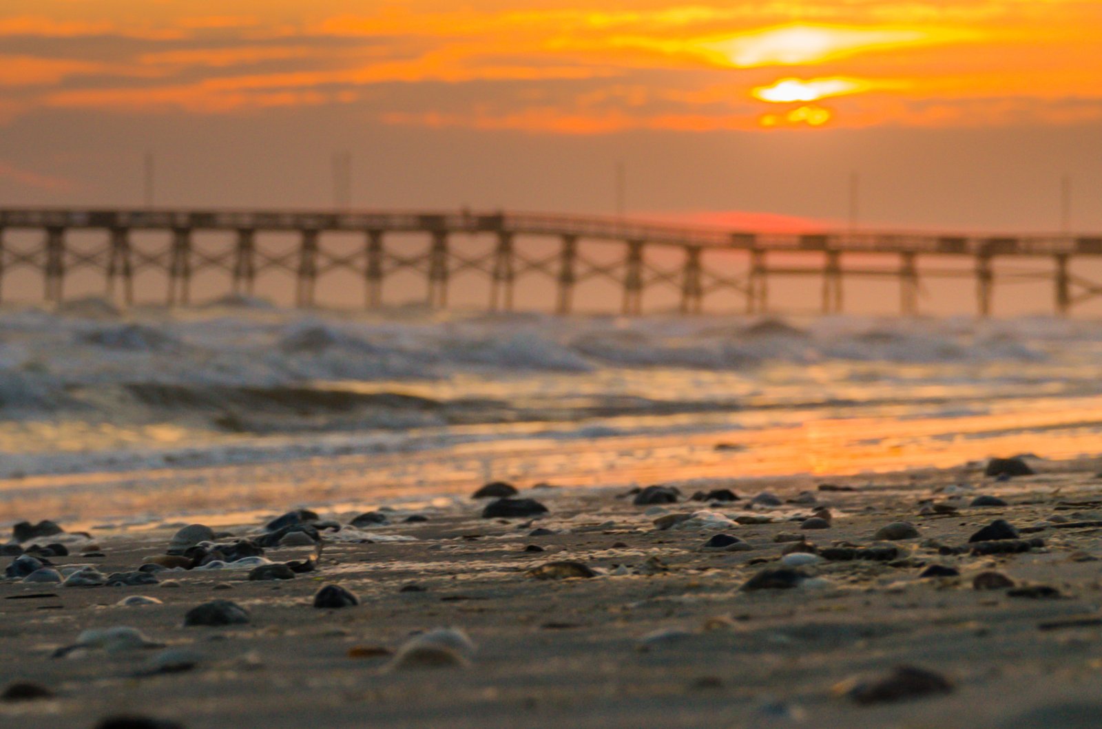 Shells and sand come into focus while the Oak Island pier and sunrise drift softly out of reach, like a memory you wake up from just before it finishes forming. The warm glow on the tide line hints at a world between night and morning, where color and light feel half-real, half-dream, inviting you to linger in that in‑between realm a little longer.